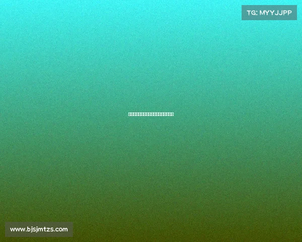 《无名之辈的冠军路：从网吧到世界赛》